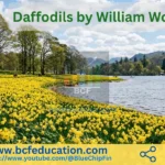 Daffodils by William Wordsworth: Summary, Analysis, Paraphrasing, & Figure of Speech